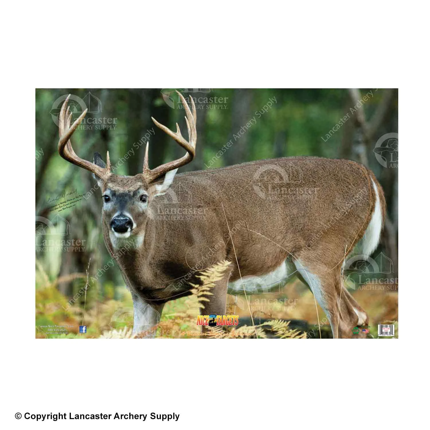 NiceTargets Deer Targets - Image 4