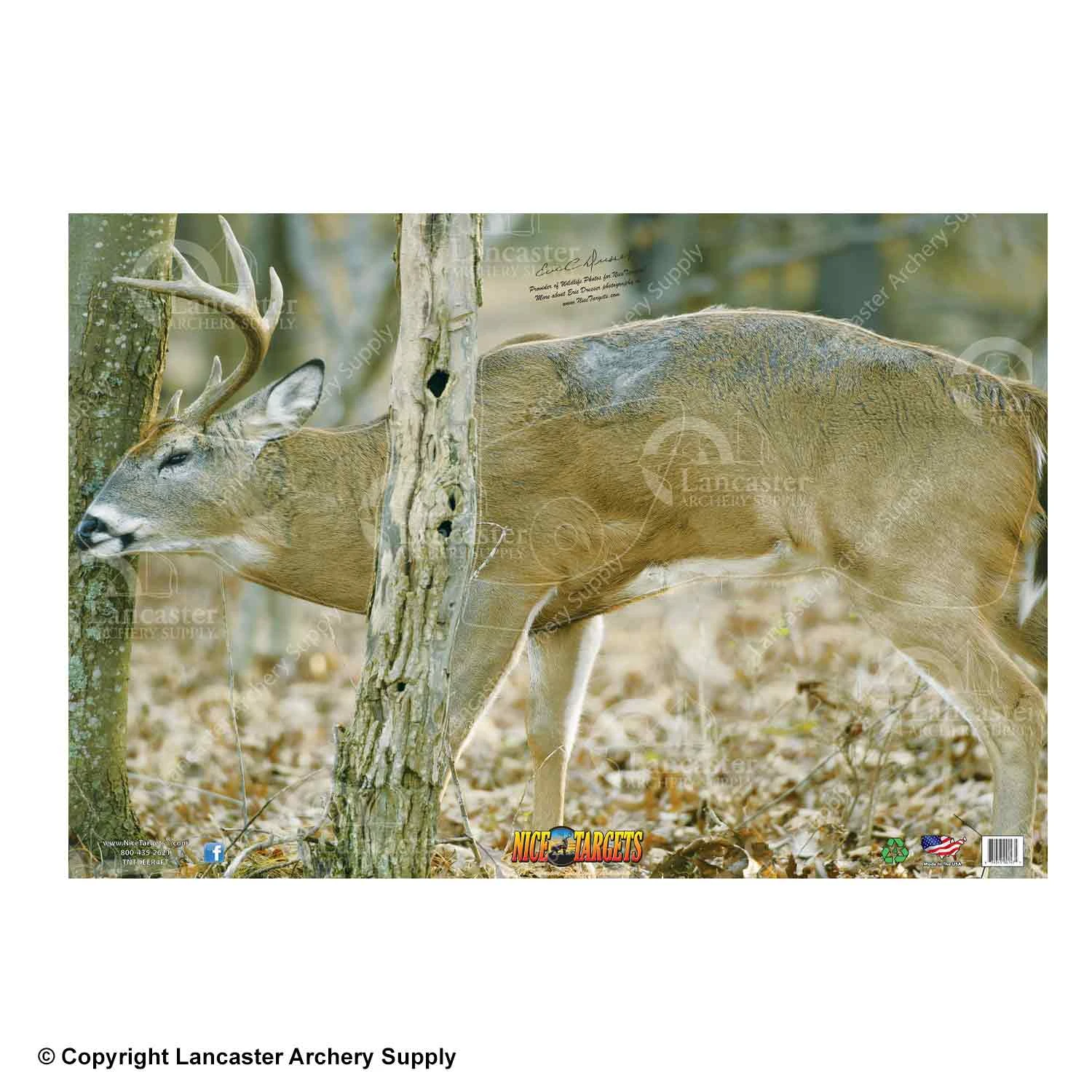 NiceTargets Deer Targets - Image 7