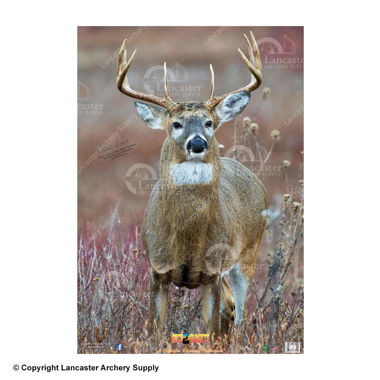 NiceTargets Deer Targets - Image 5